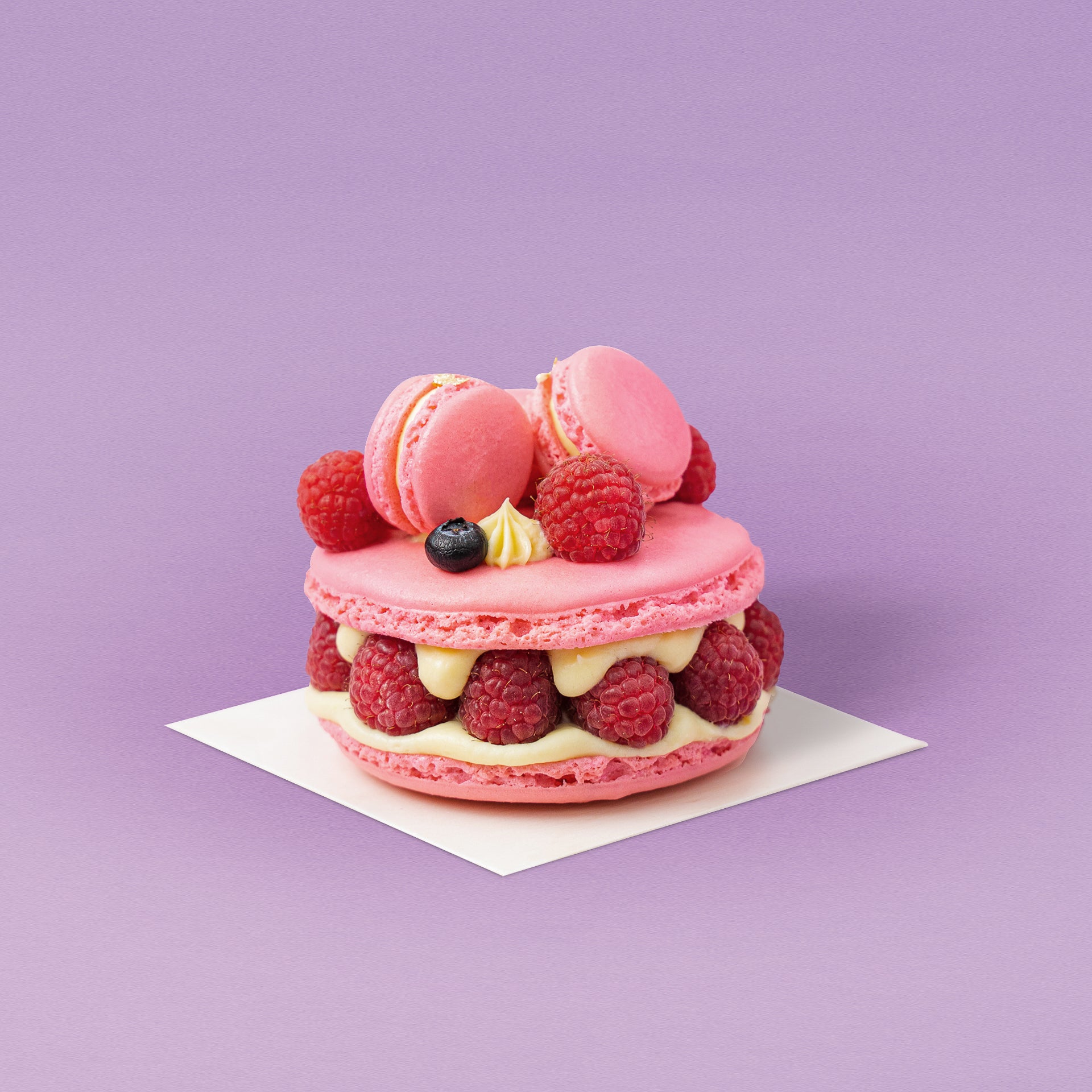 Ispahan macaron stock image. Image of pastry, bake, mint - 49238775